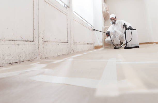 24/7 Emergency Bathroom Mold Removal experts in Decatur, TX